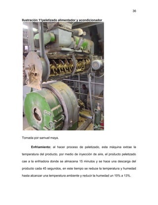 36
Ilustración 11peletizado alimentador y acondicionador
Tomada por samuel maya.
Enfriamiento: al hacer proceso de peletizado, esta máquina extrae la
temperatura del producto, por medio de inyección de aire, el producto peletizado
cae a la enfriadora donde se almacena 15 minutos y se hace una descarga del
producto cada 45 segundos, en este tiempo se reduce la temperatura y humedad
hasta alcanzar una temperatura ambiente y reducir la humedad un 10% a 13%.
 