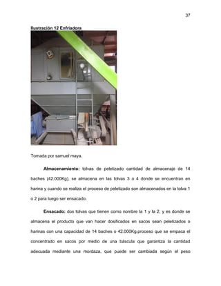 37
Ilustración 12 Enfriadora
Tomada por samuel maya.
Almacenamiento: tolvas de peletizado cantidad de almacenaje de 14
baches (42.000Kg), se almacena en las tolvas 3 o 4 donde se encuentran en
harina y cuando se realiza el proceso de peletizado son almacenados en la tolva 1
o 2 para luego ser ensacado.
Ensacado: dos tolvas que tienen como nombre la 1 y la 2, y es donde se
almacena el producto que van hacer dosificados en sacos sean peletizados o
harinas con una capacidad de 14 baches o 42.000Kg.proceso que se empaca el
concentrado en sacos por medio de una báscula que garantiza la cantidad
adecuada mediante una mordaza, que puede ser cambiada según el peso
 