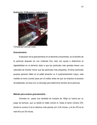 51
Ilustración 16 Muestreo materia prima
Tomada por samuel maya.
Granulometría
Evaluación de la granulometría en el alimento concentrado, es el tamaño de
la partícula después de una molienda fina, esto nos ayuda a determinar la
digestibilidad en el alimento dado a que las partículas más grandes tienen una
velocidad de transito menor que las partículas más pequeñas. Al tener partículas
gruesas generan fallas en el pellet teniendo un A quebrantamiento mayor, esta
medida se toma cuando pasa por el molido antes de que se empiece el proceso
de peletizado, se hace con un tamizaje para determinar tamaño de la partícula.
Método para evaluar granulometría.
Consiste en pasar una cantidad de muestra de 100gr en harina por un
juego de tamices, que va desde la malla número 6, hasta el tamiz número 270,
donde la numero 6 es la abertura más grande con 3,35 micras, y la de 270 es la
más fina con 53 micras.
 