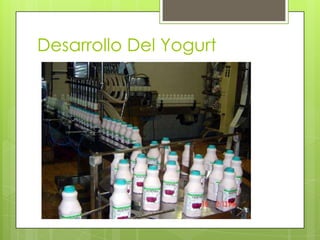 Desarrollo Del Yogurt
 