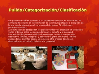 Los granos de café se someten a un procesado adicional, el abrillantado. El
abrillantado consiste en la eliminación de la cutícula plateada, a excepción de
la que queda retenida en el corte central del grano. EL objetivo es
puramente estético.
A continuación se seleccionan los granos verdes y se clasifican en función de
varios criterios, entre los que predominan el tamaño y la densidad.
La medición del grano se realiza al pasarlo por un tamiz que permite
clasificar el tamaño. Después, y dado que el grano del mismo tamaño
pueden tener distintos pesos, se somete a otro proceso donde son
detectados por el método del aire o la gravedad.
 