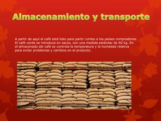 A partir de aquí el café está listo para partir rumbo a los países compradores.
El café verde se introduce en sacos, con una medida estándar de 60 kg. En
el almacenado del café se controla la temperatura y la humedad relativa
para evitar problemas y cambios en el producto.
 