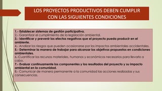 LOS PROYECTOS PRODUCTIVOS DEBEN CUMPLIR
CON LAS SIGUIENTES CONDICIONES
1.- Establecer sistemas de gestión participativa.
2.- Garantizar el cumplimiento de la legislación ambiental.
3.- Identificar y prevenir los efectos negativos que el proyecto pueda producir en el
ambiente.
4.- Analizar los riesgos que pueden ocasionarse por los impactos ambientales accidentales.
5.- Determinar la manera de trabajar para alcanzar los objetivos propuestos en condiciones
ambientales.
6.-Cuantificar los recursos materiales, humanos y económicos necesarios para llevarlo a
cabo.
7.- Evaluar continuamente los componentes y los resultados del proyecto y su impacto
ambiental en la comunidad.
8.- Comunicar de manera permanente a la comunidad las acciones realizadas y sus
consecuencias.
 