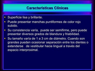  Superficie lisa y brillante.
 Puede presentar manchas puntiformes de color rojo
subido.
 Su consistencia varía, puede ser semifirme, pero puede
presentar diversos grados de blandura y friabilidad.
 Su tamaño varía de 1 a 3 cm de diámetro. Cuando son
grandes pueden ocasionar separación entre los dientes o
extenderse de vestibular hacia lingual a través del
espacio interproximal.
Características Clínicas
 