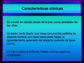 Características clínicas
 Es común en ciertas zonas de la piel, como alrededor de
las uñas.
 La lesión varía desde una masa circunscrita esférica de
aspecto tumoral con base pediculada hasta un
agrandamiento aplanado del aspecto queloide de base
ancha.
 Es rojo o púrpura brillante, friable o firme, según su
antigüedad.
 