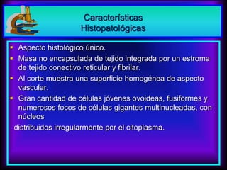 Características
Histopatológicas
 Aspecto histológico único.
 Masa no encapsulada de tejido integrada por un estroma
de tejido conectivo reticular y fibrilar.
 Al corte muestra una superficie homogénea de aspecto
vascular.
 Gran cantidad de células jóvenes ovoideas, fusiformes y
numerosos focos de células gigantes multinucleadas, con
núcleos
distribuidos irregularmente por el citoplasma.
 