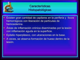  Existen gran cantidad de capilares en la periferia y focos
hemorrágicos con liberación de partículas de
hemosiderina.
 Áreas de inflamación crónica diseminadas por la lesión
con inflamación aguda en la superficie.
 Epitelio hiperplásico, con ulceraciones en la base.
 A veces, se observa formación de hueso dentro de la
lesión.
Características
Histopatológicas
 