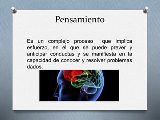 Pensamiento
Es un complejo proceso que implica
esfuerzo, en el que se puede prever y
anticipar conductas y se manifiesta en la
capacidad de conocer y resolver problemas
dados.
 