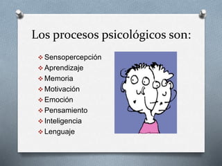 Los procesos psicológicos son:
 Sensopercepción
 Aprendizaje
 Memoria
 Motivación
 Emoción
 Pensamiento
 Inteligencia
 Lenguaje
 