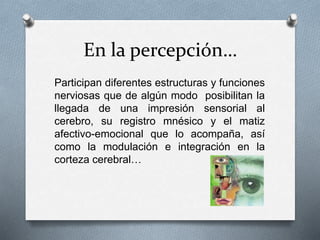 En la percepción…
Participan diferentes estructuras y funciones
nerviosas que de algún modo posibilitan la
llegada de una impresión sensorial al
cerebro, su registro mnésico y el matiz
afectivo-emocional que lo acompaña, así
como la modulación e integración en la
corteza cerebral…
 