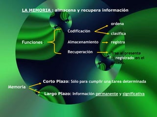 LA MEMORIA : almacena y recupera información
Funciones:
Codificación
Almacenamiento
Recuperación
ordena
clasifica
registra
Trae al presente
lo registrado en el
pasado.
Memoria
Corto Plazo: Sólo para cumplir una tarea determinada
Largo Plazo: Información permanente y significativa
 