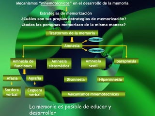 Mecanismos “mnemotécnicos” en el desarrollo de la memoria
Estrategias de memorización
¿Cuáles son tus propias estrategias de memorización?
¿todas las personas memorizan de la misma manera?
Trastornos de la memoria
Amnesia
Amnesia de
funciones
Amnesia
sistemática
Amnesia
senil
parapnesia
Afasia Agrafia
Sordera
verbal
Ceguera
verbal
Dismnesia Hipermnesia
Mecanismos mnemotecnicos
Total
Parcial
La memoria es posible de educar y
desarrollar
 