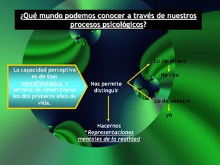 ¿Qué mundo podemos conocer a través de nuestros
procesos psicológicos?
La capacidad perceptiva
es de tipo
neurofisiológica, y
termina de desarrollarse
los dos primeros años de
vida.
Nos permite
distinguir
Lo de afuera
No - yo
Lo de adentro
yo
Hacernos
“Representaciones
mentales de la realidad
 