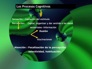 Los Procesos Cognitivos
Sensación : Captación del estimulo
Percepción: Captar, organizar y dar sentido a los datos
sensoriales- información
Modificaciones:
ilusión
Alucinaciones
Atención : Focalización de la percepción
selectividad, habituación
 
