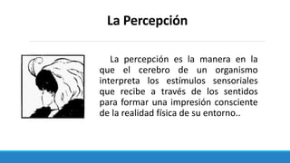 La Percepción
La percepción es la manera en la
que el cerebro de un organismo
interpreta los estímulos sensoriales
que recibe a través de los sentidos
para formar una impresión consciente
de la realidad física de su entorno..
 