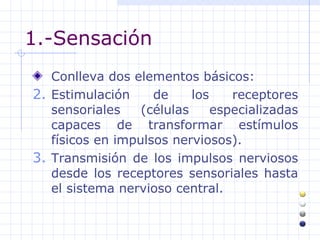 1.-Sensación <ul><li>Conlleva dos elementos básicos : </li></ul><ul><li>Estimulación de los receptores sensoriales  ( célu...