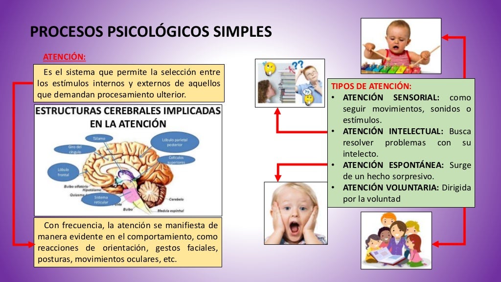 Procesos psicológicos