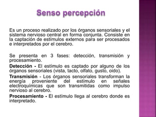 Es un proceso realizado por los órganos sensoriales y el
sistema nervioso central en forma conjunta. Consiste en
la captación de estímulos externos para ser procesados
e interpretados por el cerebro.
Se presenta en 3 fases: detección, transmisión y
procesamiento.
Detección - El estímulo es captado por alguno de los
órganos sensoriales (vista, tacto, olfato, gusto, oido).
Transmisión - Los órganos sensoriales transforman la
energía proveniente del estímulo en señales
electroquímicas que son transmitidas como impulso
nervioso al cerebro.
Procesamiento - El estímulo llega al cerebro donde es
interpretado.
 