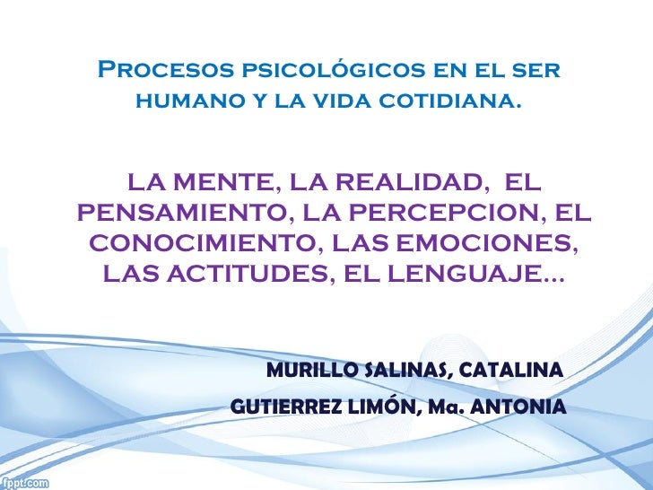 Ejemplos De Percepcion En La Vida