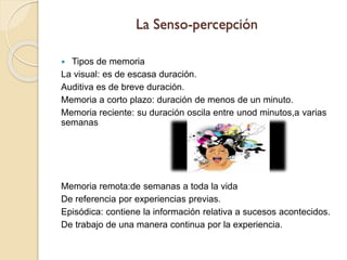  Tipos de memoria
La visual: es de escasa duración.
Auditiva es de breve duración.
Memoria a corto plazo: duración de menos de un minuto.
Memoria reciente: su duración oscila entre unod minutos,a varias
semanas
Memoria remota:de semanas a toda la vida
De referencia por experiencias previas.
Episódica: contiene la información relativa a sucesos acontecidos.
De trabajo de una manera continua por la experiencia.
 