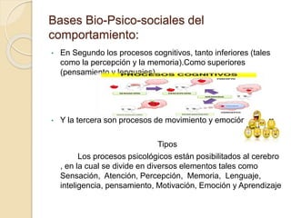 Bases Bio-Psico-sociales del
comportamiento:
• En Segundo los procesos cognitivos, tanto inferiores (tales
como la percepción y la memoria).Como superiores
(pensamiento y lenguajes)
• Y la tercera son procesos de movimiento y emoción.
Tipos
Los procesos psicológicos están posibilitados al cerebro
, en la cual se divide en diversos elementos tales como
Sensación, Atención, Percepción, Memoria, Lenguaje,
inteligencia, pensamiento, Motivación, Emoción y Aprendizaje
 
