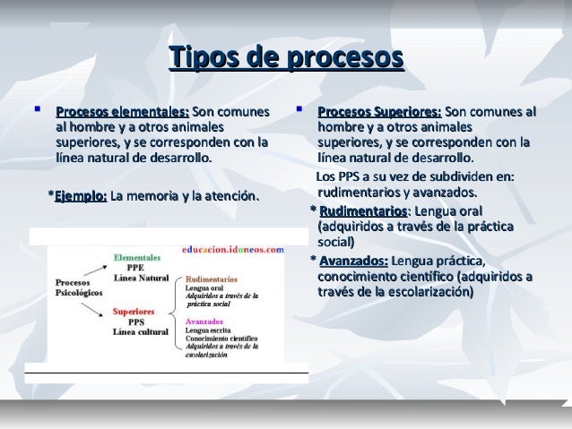 Procesos psicologicos