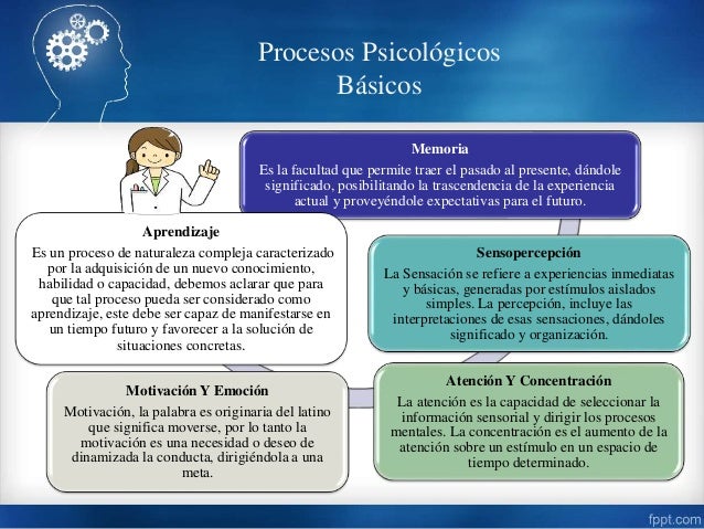 Procesos Psicológicos
