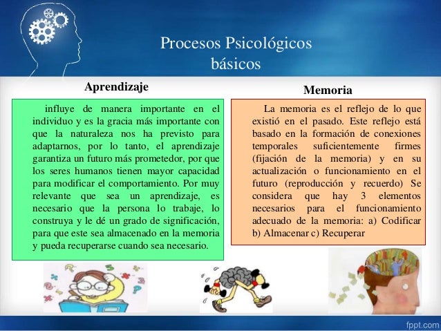 Resultado de imagen para proceso psicologico de aprendizaje