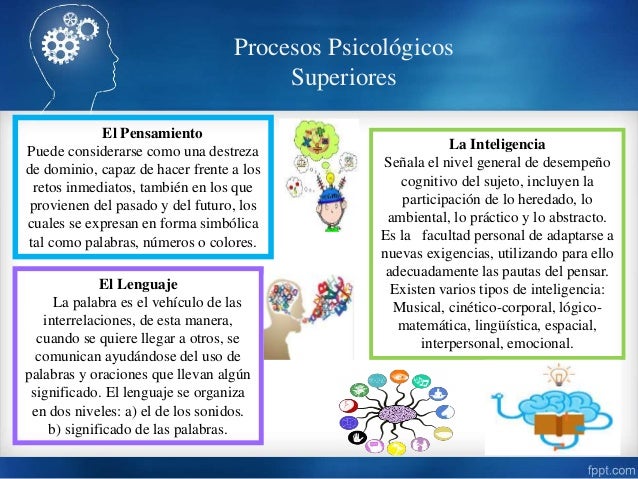 Procesos Psicológicos