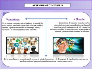 APRENDIZAJE Y MEMORIA
 Aprendizaje:
Es un proceso complejo caracterizado por la adquisición:
conocimiento, habilidad o capacidad. Así como también,
debe ser capaz de manifestarse en un tiempo futuro y
favorecer a la solución de situaciones concretas.
 Memoria:
En un aprendizaje, es necesario que la persona lo trabaje, lo construya y le dé un grado de significación, para que este
sea almacenado en la memoria y pueda recuperarse cuando sea necesario.
Los sistemas de memoria necesitan ciertos
procedimientos para insertar la información en el
almacén y para después sacarla de allí, cuando los
fenómenos u objetos ya no actúan sobre la percepción o
sentidos, y se manifiestan en forma de recuerdo.
 