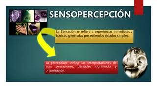 La percepción, incluye las interpretaciones de
esas sensaciones, dándoles significado y
organización.
La Sensación se refiere a experiencias inmediatas y
básicas, generadas por estímulos aislados simples.
 