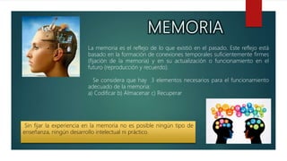 La memoria es el reflejo de lo que existió en el pasado. Este reflejo está
basado en la formación de conexiones temporales suficientemente firmes
(fijación de la memoria) y en su actualización o funcionamiento en el
futuro (reproducción y recuerdo).
Se considera que hay 3 elementos necesarios para el funcionamiento
adecuado de la memoria:
a) Codificar b) Almacenar c) Recuperar
Sin fijar la experiencia en la memoria no es posible ningún tipo de
enseñanza, ningún desarrollo intelectual ni práctico.
 