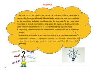 Es una función del cerebro que permite al organismo codificar, almacenar y
recuperar la información del pasado. Algunas teorías afirman que surge como resultado
de las conexiones sinápticas repetitivas entre las neuronas, lo que crea redes
neuronales (la llamada potenciación a largo plazo) En el proceso de almacenamiento
de los conocimientos en la memoria es posible diferenciar las siguientes fases:
• codificación o registro (recepción, procesamiento y combinación de la información
recibida)
• almacenamiento (creación de un registro permanente de la información codificada)
• recuperación, recordar o recolección (recordar la información almacenada en
respuesta a una señal para usarla en un proceso o actividad, del proceso de la
memoria).
 