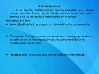 La Senso-percepción
Es un proceso realizado por los órganos sensoriales y el sistema
nervioso central en forma conjunta. Consiste en la captación de estímulos
externos para ser procesados e interpretados por el cerebro.
Se presenta en 3 fases:
 Detección :El estímulo es captado por alguno de los órganos sensoriales
 Transmisión :Los órganos sensoriales transforman la energía proveniente
del estímulo en señales electroquímicas que son transmitidas como
impulso nervioso al cerebro.
 Procesamiento - El estímulo llega al cerebro donde es interpretado.
 