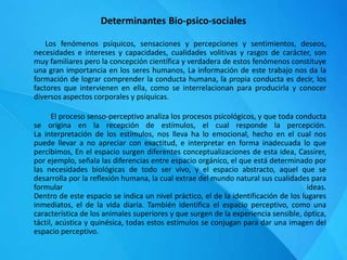 Determinantes Bio-psico-sociales
Los fenómenos psíquicos, sensaciones y percepciones y sentimientos, deseos,
necesidades e intereses y capacidades, cualidades volitivas y rasgos de carácter, son
muy familiares pero la concepción científica y verdadera de estos fenómenos constituye
una gran importancia en los seres humanos, La información de este trabajo nos da la
formación de lograr comprender la conducta humana, la propia conducta es decir, los
factores que intervienen en ella, como se interrelacionan para producirla y conocer
diversos aspectos corporales y psíquicas.
El proceso senso-perceptivo analiza los procesos psicológicos, y que toda conducta
se origina en la recepción de estímulos, el cual responde la percepción.
La interpretación de los estímulos, nos lleva ha lo emocional, hecho en el cual nos
puede llevar a no apreciar con exactitud, e interpretar en forma inadecuada lo que
percibimos, En el espacio surgen diferentes conceptualizaciones de esta idea, Cassirer,
por ejemplo, señala las diferencias entre espacio orgánico, el que está determinado por
las necesidades biológicas de todo ser vivo, y el espacio abstracto, aquel que se
desarrolla por la reflexión humana, la cual extrae del mundo natural sus cualidades para
formular ideas.
Dentro de este espacio se indica un nivel práctico, el de la identificación de los lugares
inmediatos, el de la vida diaria. También identifica el espacio perceptivo, como una
característica de los animales superiores y que surgen de la experiencia sensible, óptica,
táctil, acústica y quinésica, todas estos estímulos se conjugan para dar una imagen del
espacio perceptivo.
 