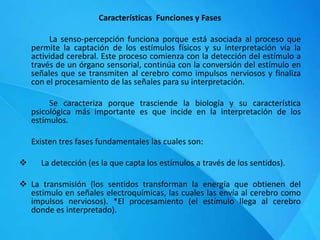Características Funciones y Fases
La senso-percepción funciona porque está asociada al proceso que
permite la captación de los estímulos físicos y su interpretación vía la
actividad cerebral. Este proceso comienza con la detección del estímulo a
través de un órgano sensorial, continúa con la conversión del estímulo en
señales que se transmiten al cerebro como impulsos nerviosos y finaliza
con el procesamiento de las señales para su interpretación.
Se caracteriza porque trasciende la biología y su característica
psicológica más importante es que incide en la interpretación de los
estímulos.
Existen tres fases fundamentales las cuales son:
 La detección (es la que capta los estímulos a través de los sentidos).
 La transmisión (los sentidos transforman la energía que obtienen del
estimulo en señales electroquímicas, las cuales las envía al cerebro como
impulsos nerviosos). *El procesamiento (el estímulo llega al cerebro
donde es interpretado).
 