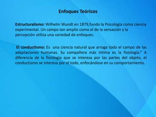 Enfoques Teóricos
Estructuralismo: Wilhelm Wundt en 1879,fundo la Psicología como ciencia
experimental. Un campo tan amplio como el de la sensación y la
percepción utiliza una variedad de enfoques.
El conductismo: Es una ciencia natural que arroga todo el campo de las
adaptaciones humanas. Su compañera más intima es la fisiología.” A
diferencia de la fisiología que se interesa por las partes del objeto, el
conductismo se interesa por el todo, enfocándose en su comportamiento.
 