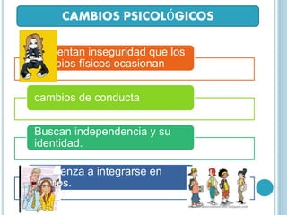 CAMBIOS PSICOLÓGICOS
Presentan inseguridad que los
cambios físicos ocasionan
cambios de conducta
Buscan independencia y su
identidad.
Comienza a integrarse en
grupos.
 