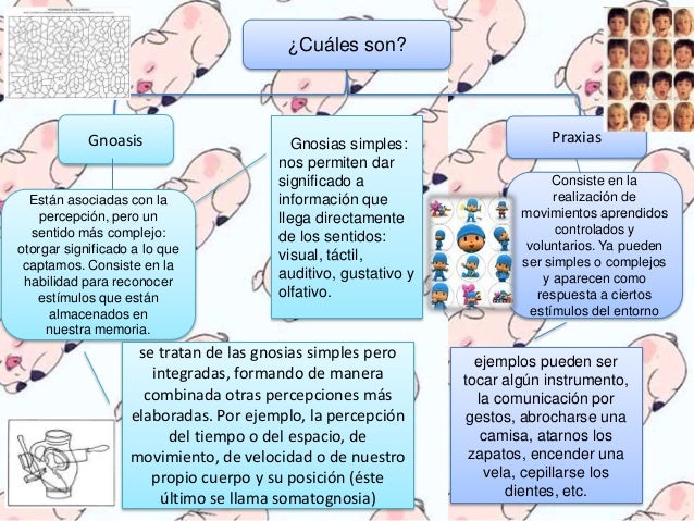 Procesos psicologicos superiores