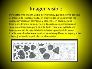 Imagen visible
Para obtener la imagen visible definitiva hay que someter la película
al proceso de revelado-fijado. En el revelador se transforman los
cristales irradiados y alterados, y sólo ellos, en plata metálica
finamente dividida, de color negro. Los cristales no irradiados no
sufren modificación alguna en este baño. Esta selectividad en la
transformación de los cristales irradiados y pasividad de los no
irradiados es fundamental en el proceso fotográfico y se logra gracias
a la conjunción de la película con el revelador.
 