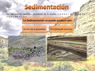 •Se depositan los materiales procedentes de la erosión, c o n o c i d o s   c o mo
s e d i me n t o s .
                 La Sedimentación se puede producir por:

                 Acción de la gravedad        Precipitación química
 