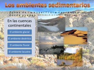 Zo n a s d e l a s u p e r f i c i e t e r r e s t r e
 d o n d e p u e d e n a c u mu l a r s e s e d i me n t o s

En las cuencas
continentales
 El ambiente glacial

El ambiente desértico

 El ambiente fluvial

El ambiente lacustre
 