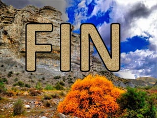 Procesos sedimentarios