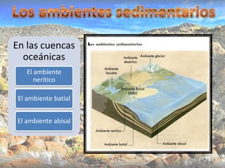 En las cuencas
  oceánicas
    El ambiente
       nerítico

 El ambiente batial


El ambiente abisal
 