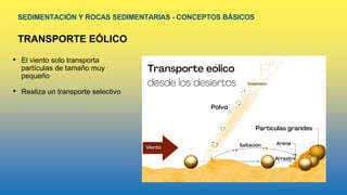 SEDIMENTACIÓN Y ROCAS SEDIMENTARIAS - CONCEPTOS BÁSICOS
TRANSPORTE EÓLICO
• El viento solo transporta
partículas de tamaño muy
pequeño
• Realiza un transporte selectivo
 