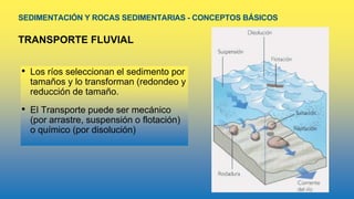 SEDIMENTACIÓN Y ROCAS SEDIMENTARIAS - CONCEPTOS BÁSICOS
TRANSPORTE FLUVIAL
• Los ríos seleccionan el sedimento por
tamaños y lo transforman (redondeo y
reducción de tamaño.
• El Transporte puede ser mecánico
(por arrastre, suspensión o flotación)
o químico (por disolución)
 