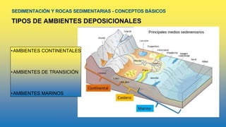 SEDIMENTACIÓN Y ROCAS SEDIMENTARIAS - CONCEPTOS BÁSICOS
TIPOS DE AMBIENTES DEPOSICIONALES
•AMBIENTES CONTINENTALES
•AMBIENTES DE TRANSICIÓN
•AMBIENTES MARINOS
 