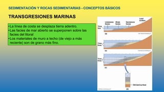 SEDIMENTACIÓN Y ROCAS SEDIMENTARIAS - CONCEPTOS BÁSICOS
TRANSGRESIONES MARINAS
•La línea de costa se desplaza tierra adentro.
•Las facies de mar abierto se superponen sobre las
facies del litoral
•Los materiales de muro a techo (de viejo a más
reciente) son de grano más fino.
 