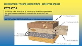 SEDIMENTACIÓN Y ROCAS SEDIMENTARIAS - CONCEPTOS BÁSICOS
ESTRATOS
• ESPESOR o POTENCIA de un estrato es la distancia que separa las
dos superficies de estratificación que delimitan un estrato (muro y
techo)
•SUPERFICIE DE ESTRATIFICACIÓN es el límite entre dos estratos
 