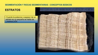 SEDIMENTACIÓN Y ROCAS SEDIMENTARIAS - CONCEPTOS BÁSICOS
ESTRATOS
• Cuando la potencia o espesor de un
estrato es uy pequeña se habla de
LAMINACIÓN
 